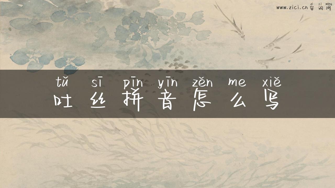 吐丝拼音怎么写