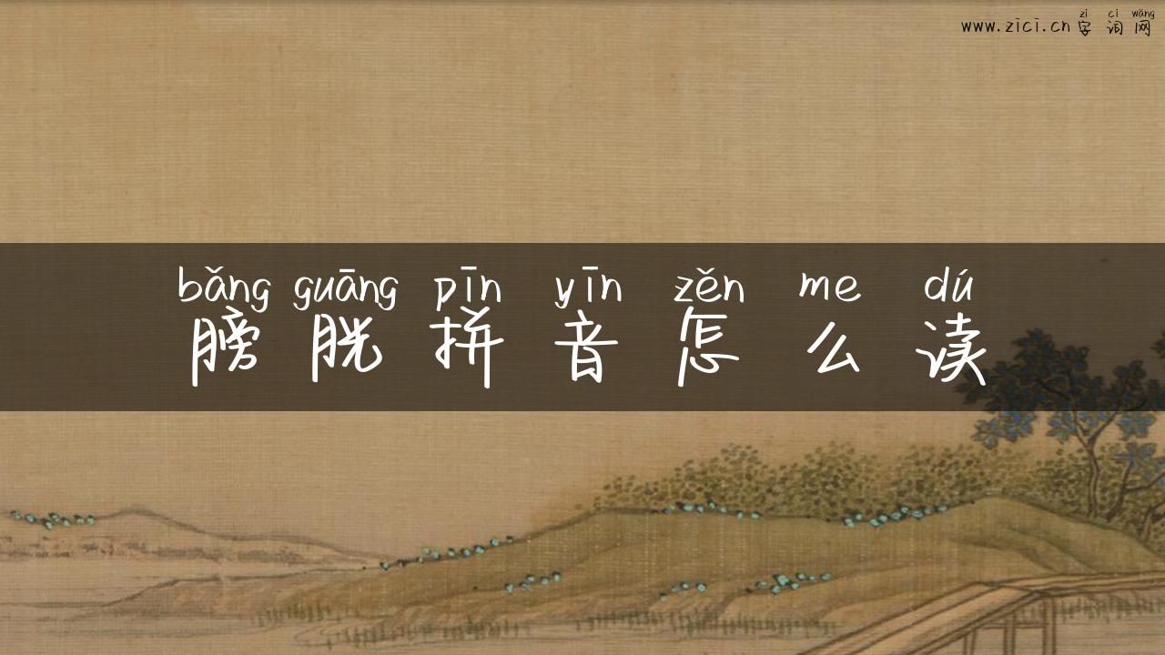 膀胱拼音怎么读