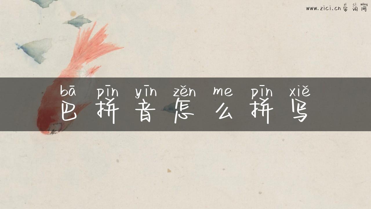 巴拼音怎么拼写