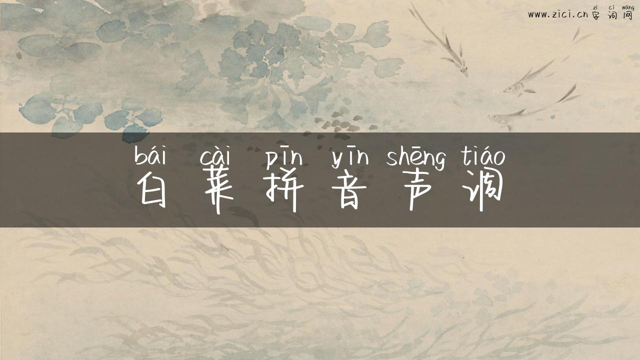 白菜拼音声调