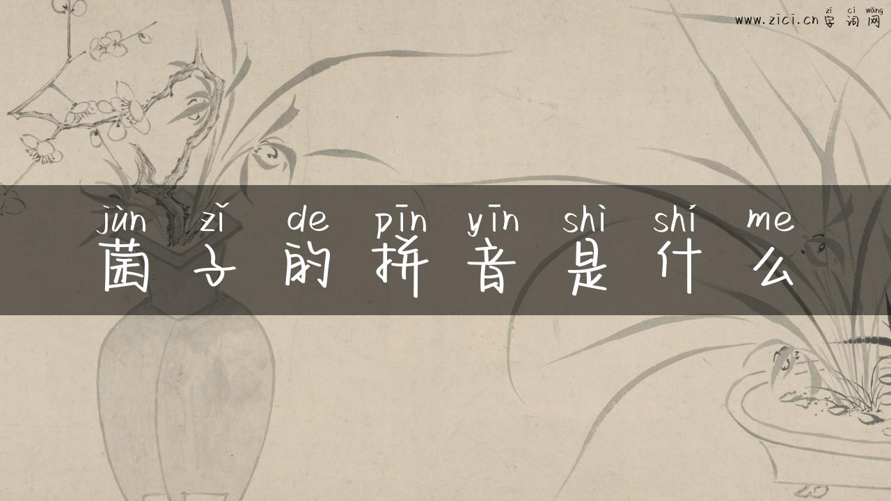 菌子的拼音是什么