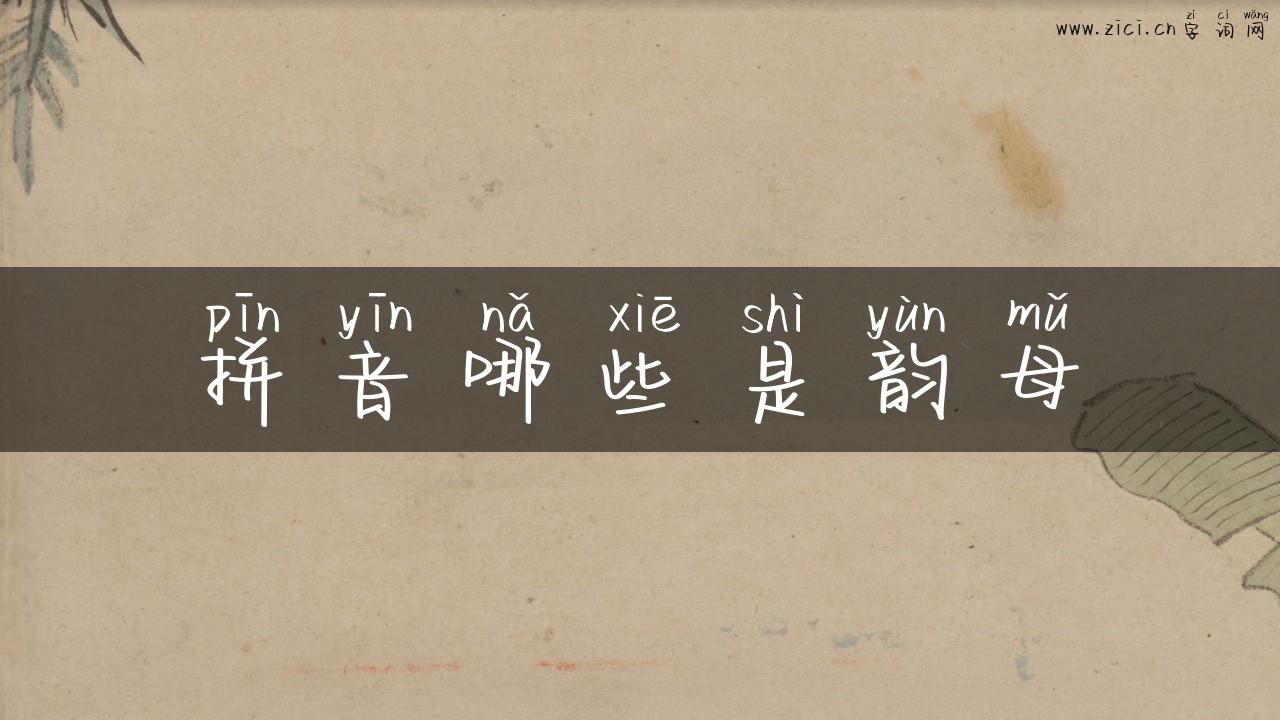拼音哪些是韵母