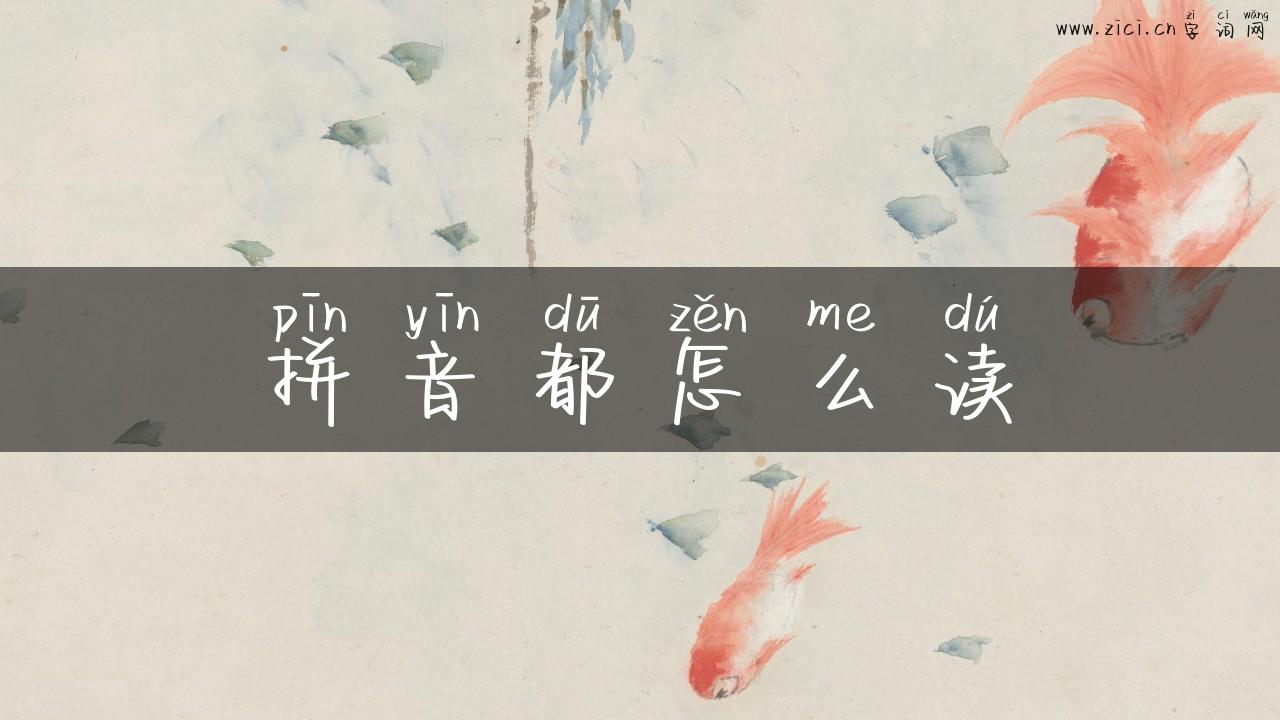 拼音都怎么读