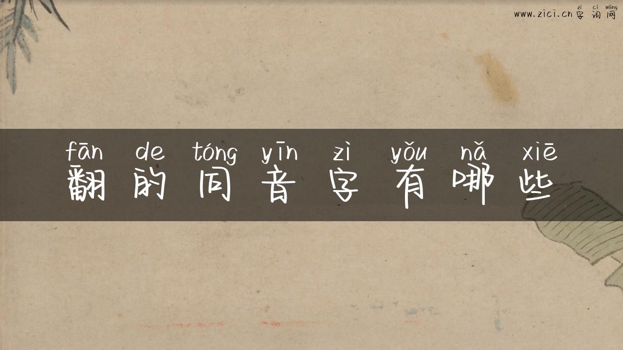 翻的同音字有哪些