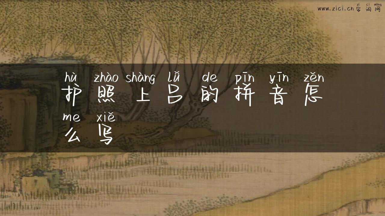 护照上吕的拼音怎么写