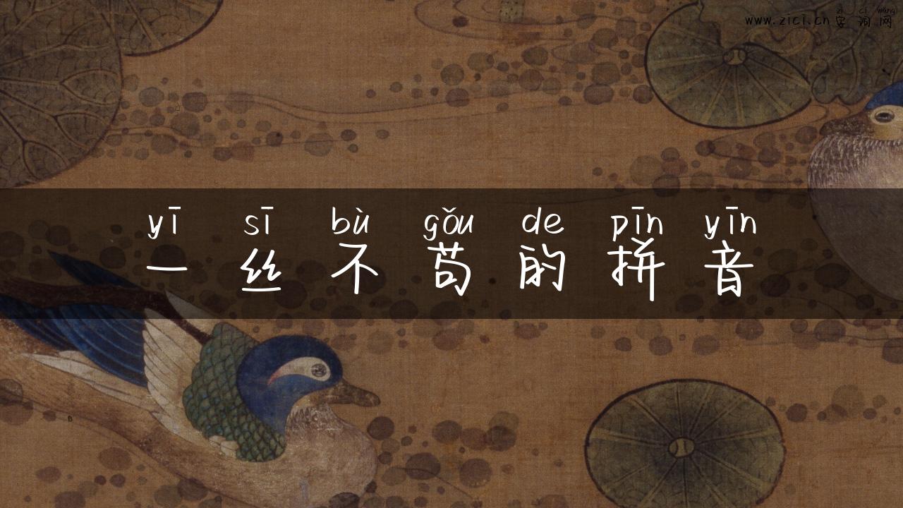一丝不苟的拼音