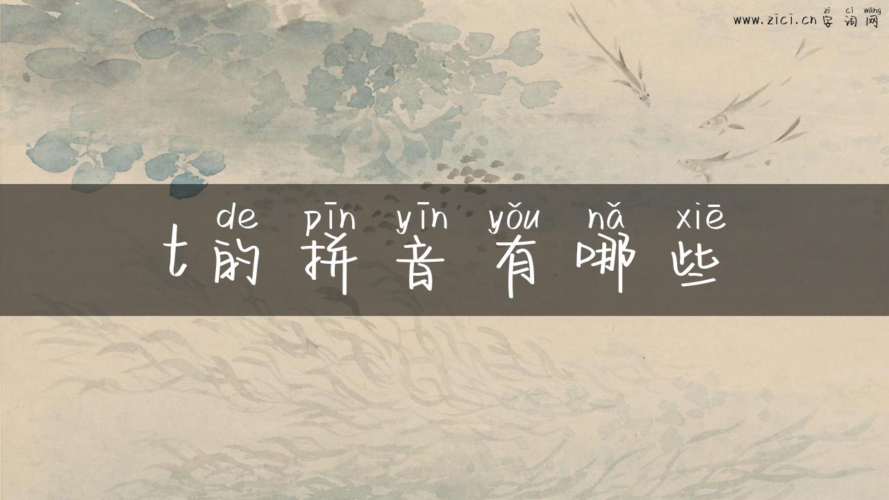 t的拼音有哪些