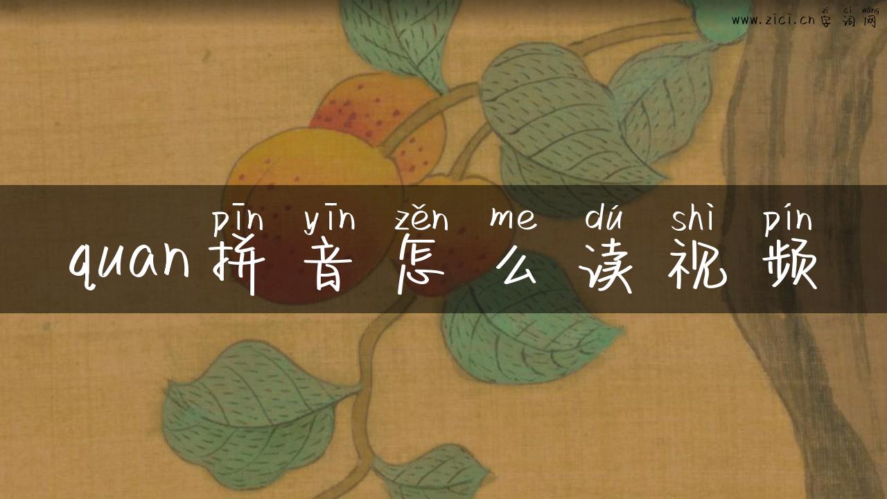 quan拼音怎么读视频
