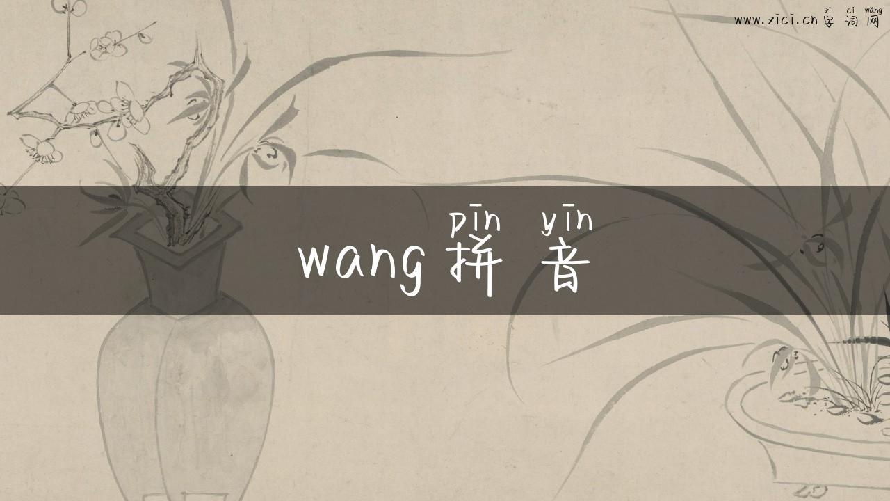 wang拼音