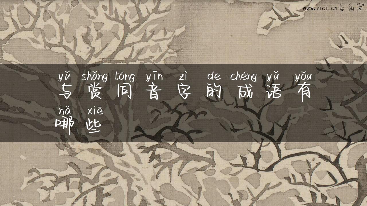 与赏同音字的成语有哪些