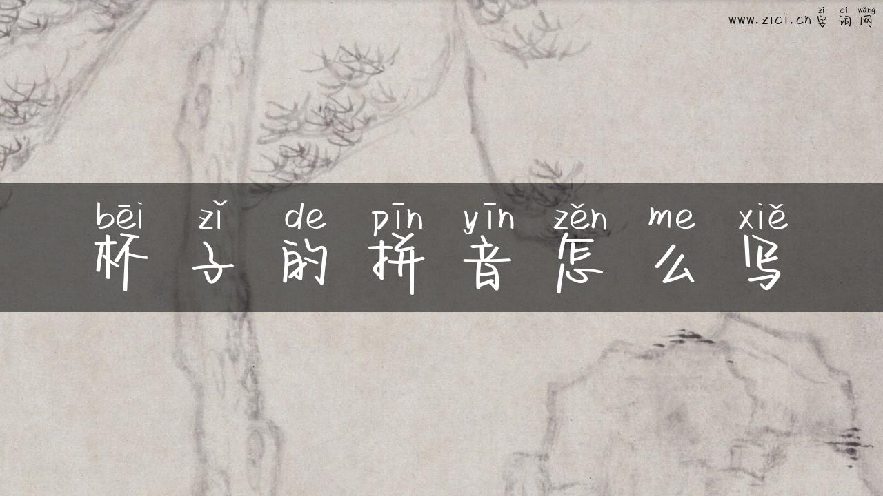 杯子的拼音怎么写