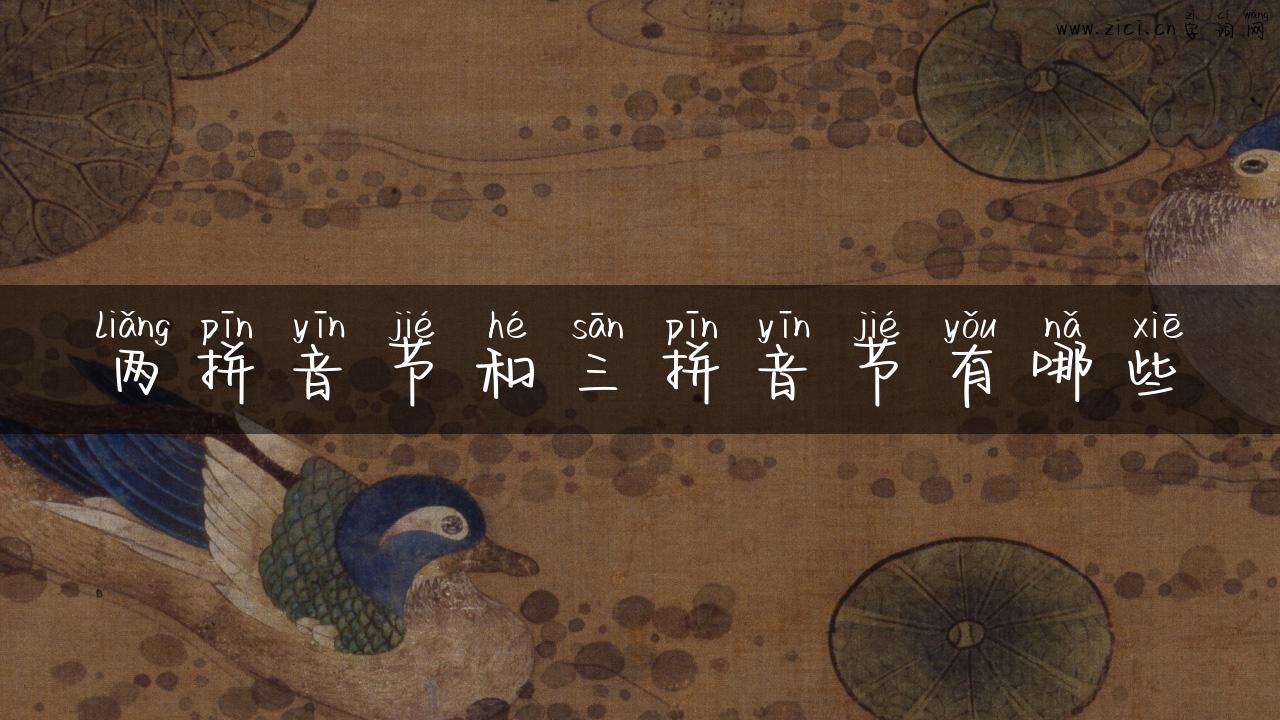 两拼音节和三拼音节有哪些