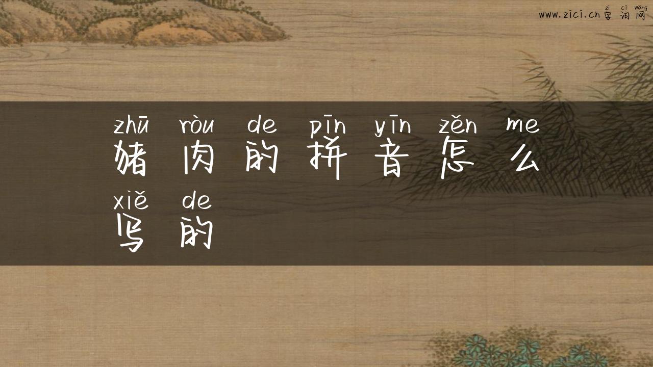 猪肉的拼音怎么写的