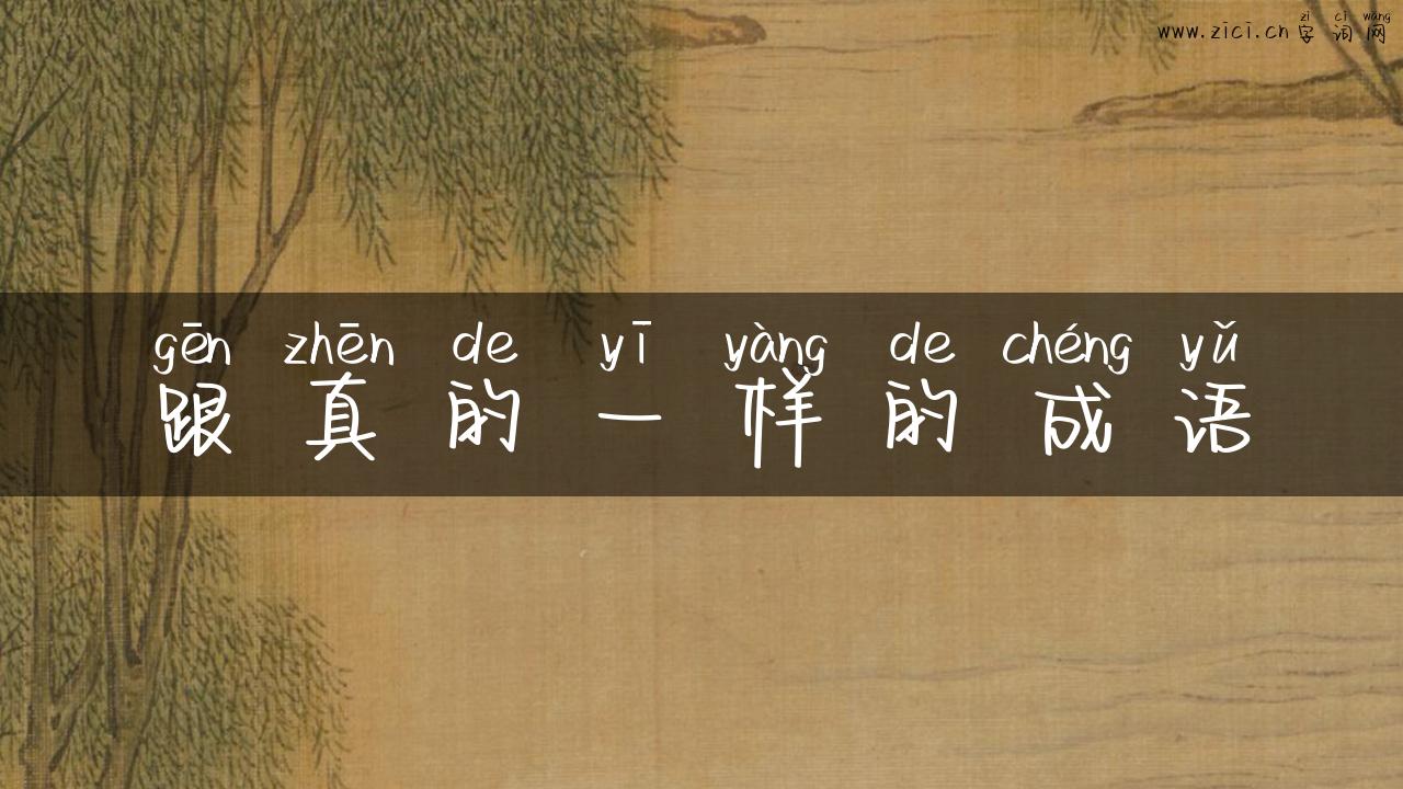 跟真的一样的成语