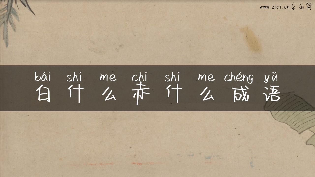 白什么赤什么成语