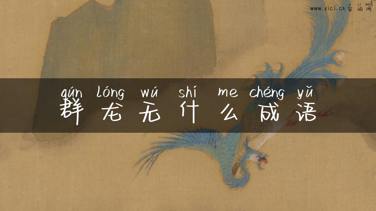 群龙无什么成语