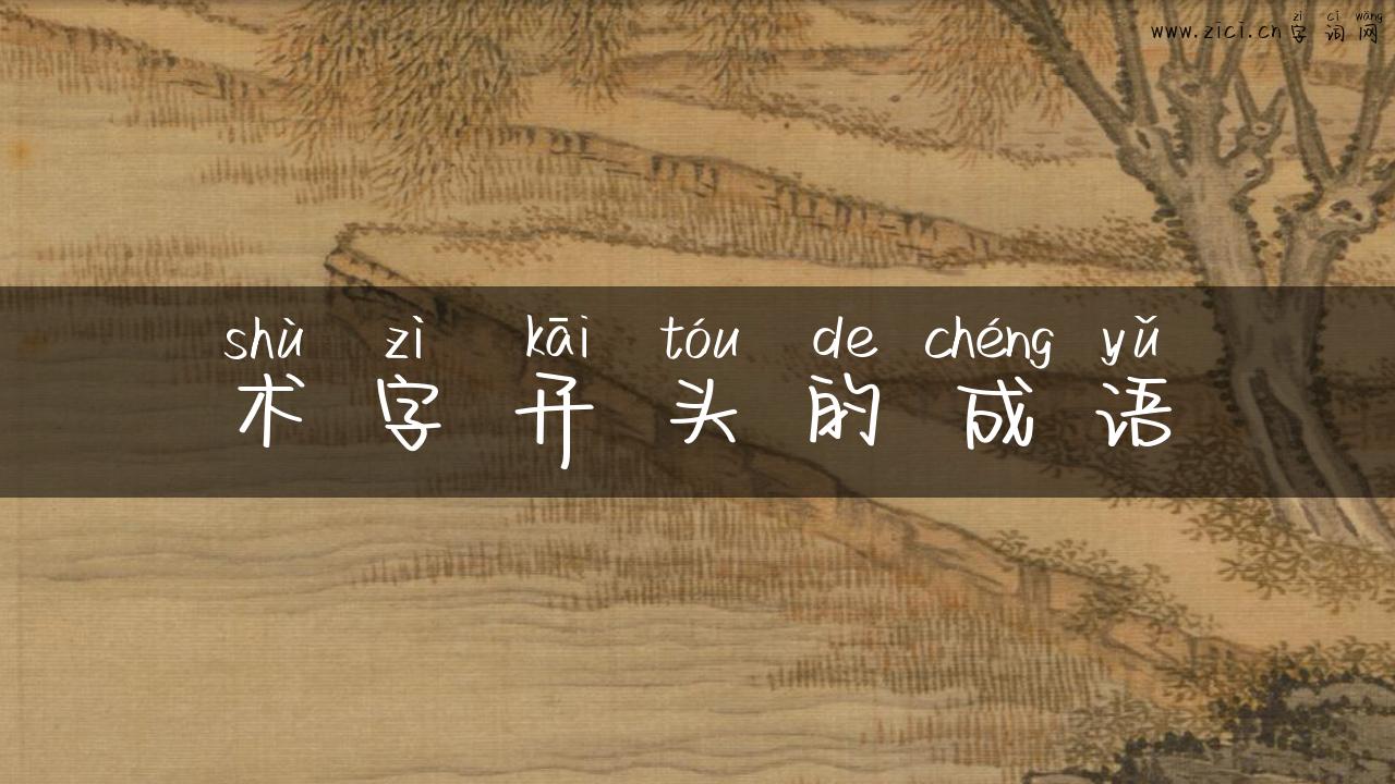 术字开头的成语