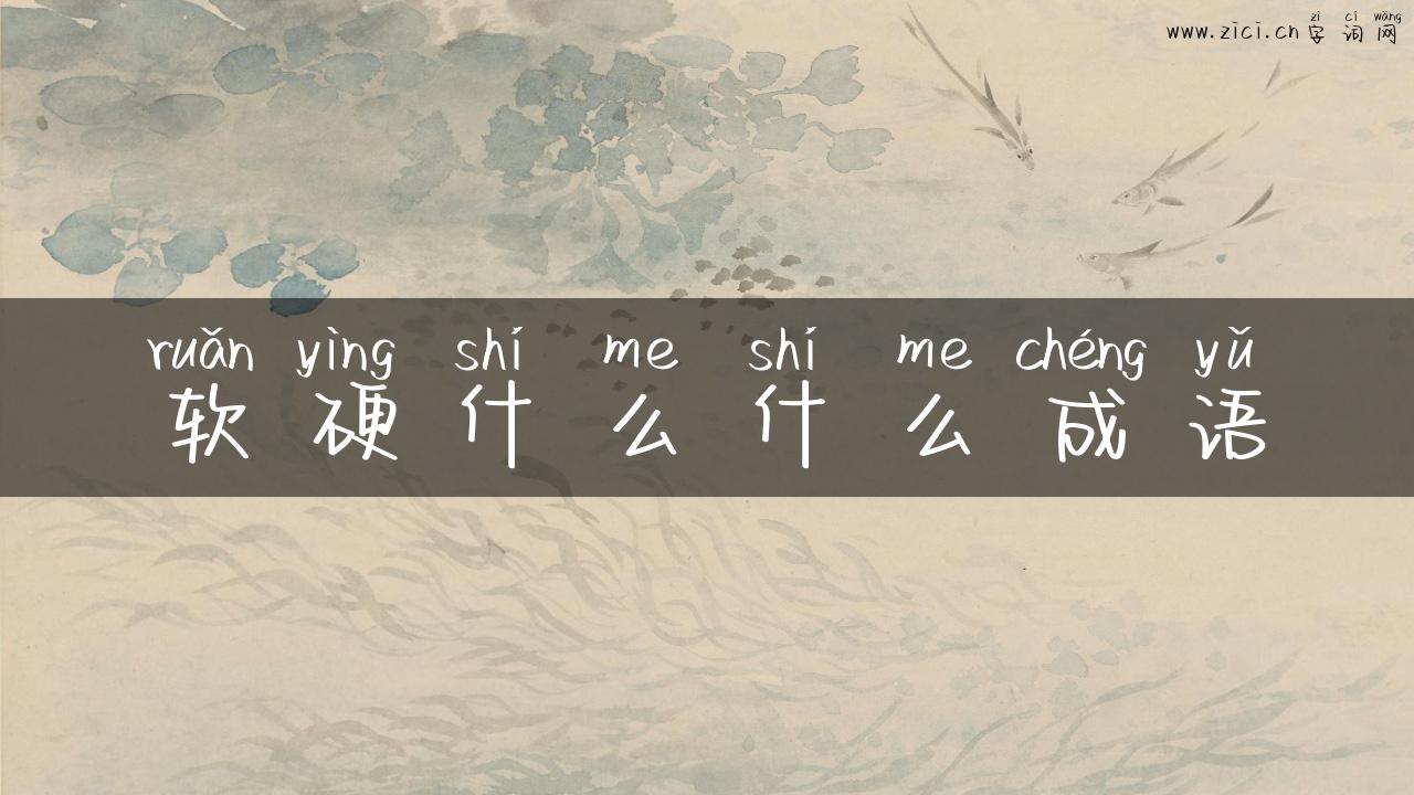 软硬什么什么成语