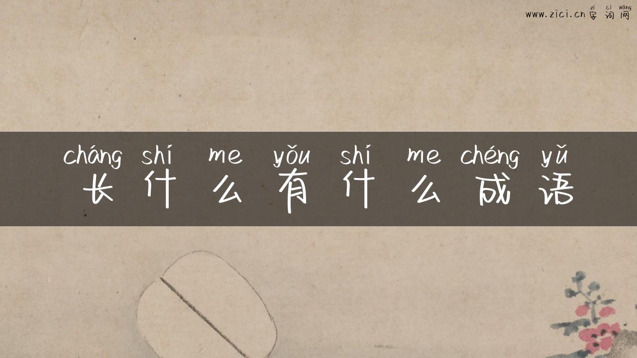 长什么有什么成语