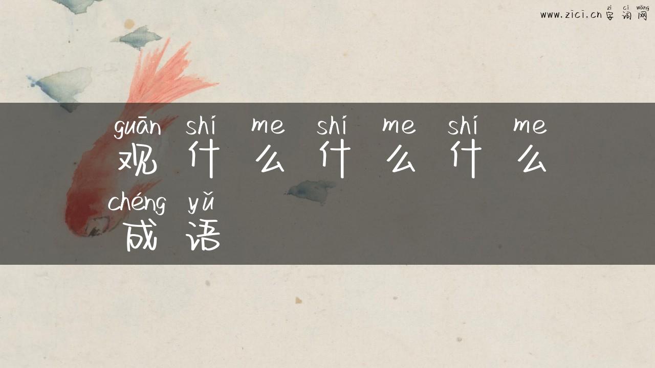 观什么什么什么成语