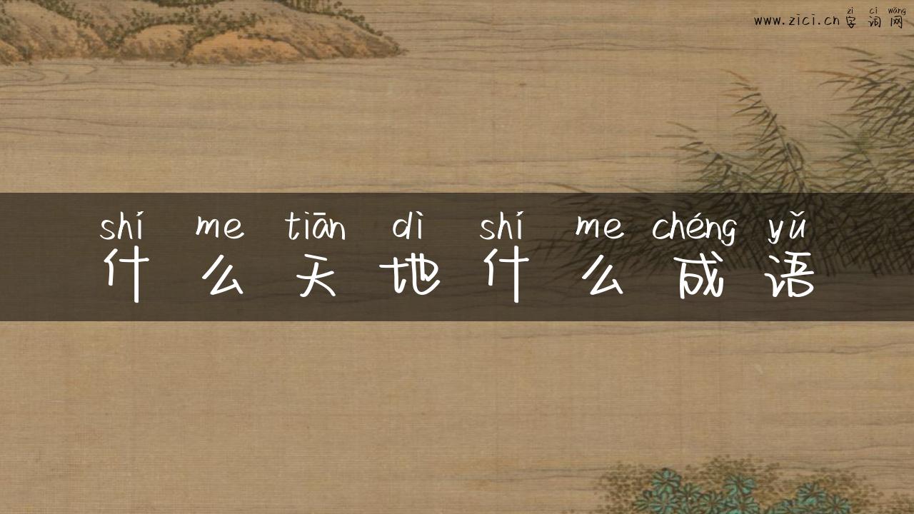 什么天地什么成语