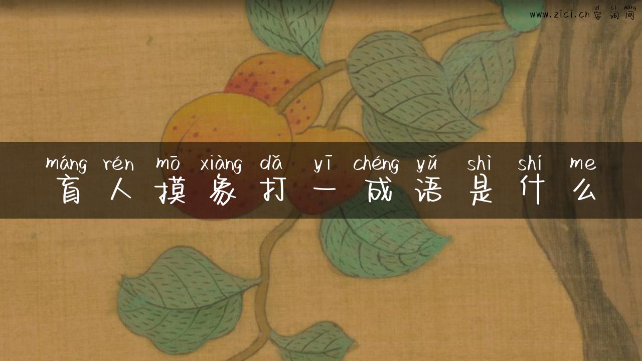 盲人摸象打一成语是什么