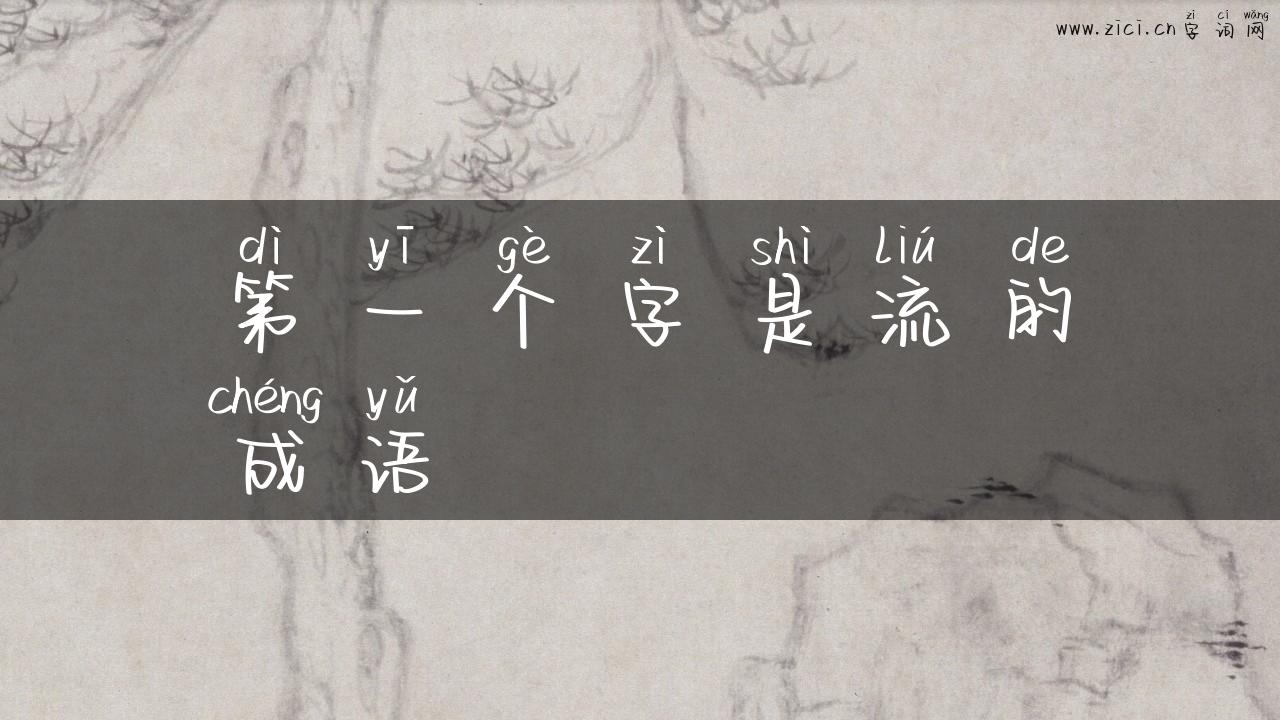 第一个字是流的成语