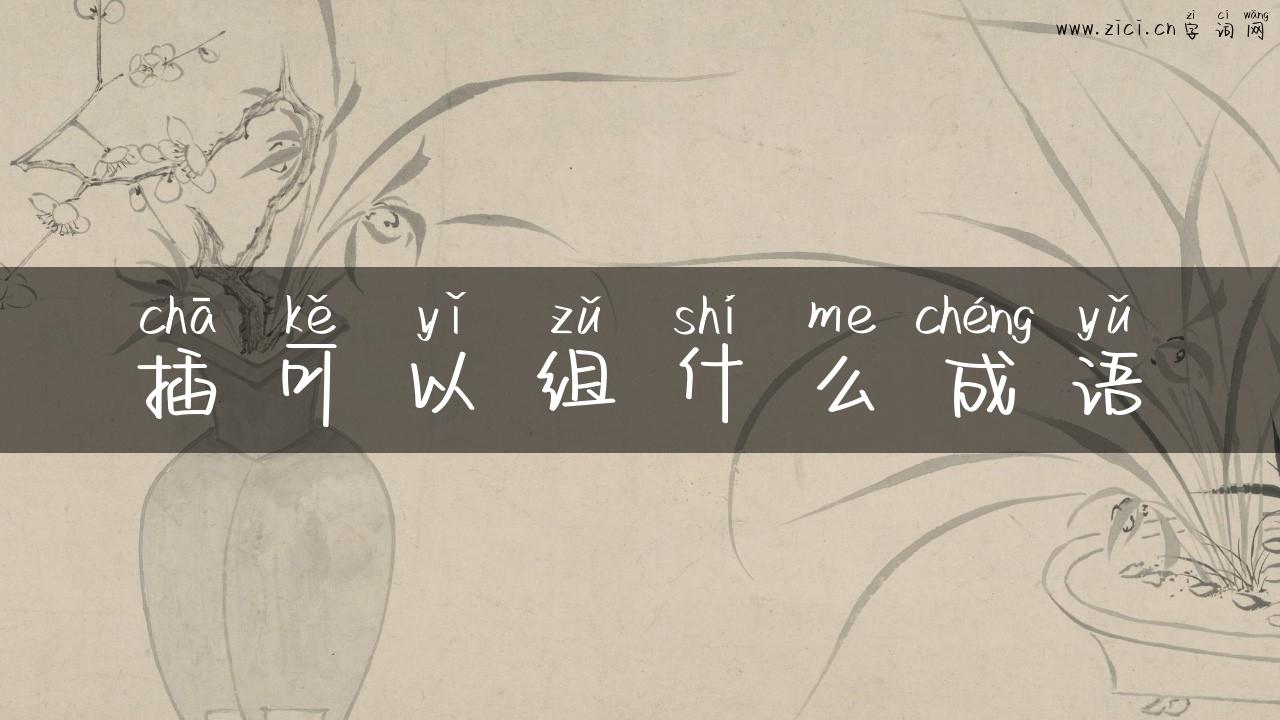 插可以组什么成语