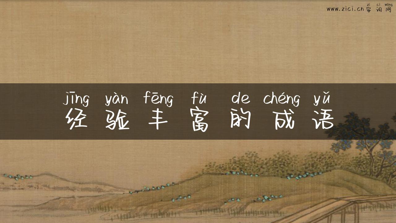 经验丰富的成语