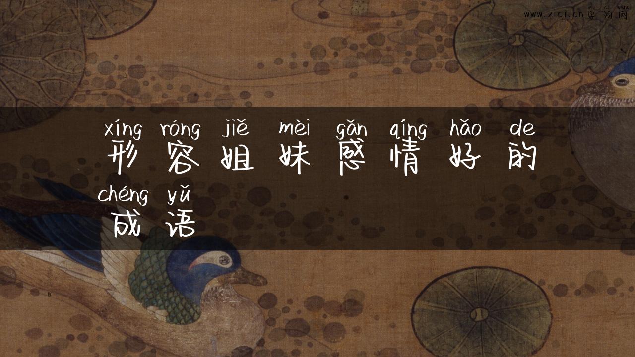 形容姐妹感情好的成语