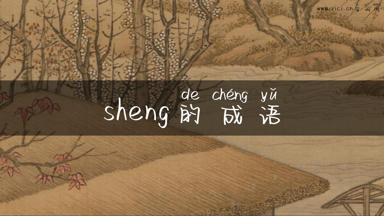 sheng的成语