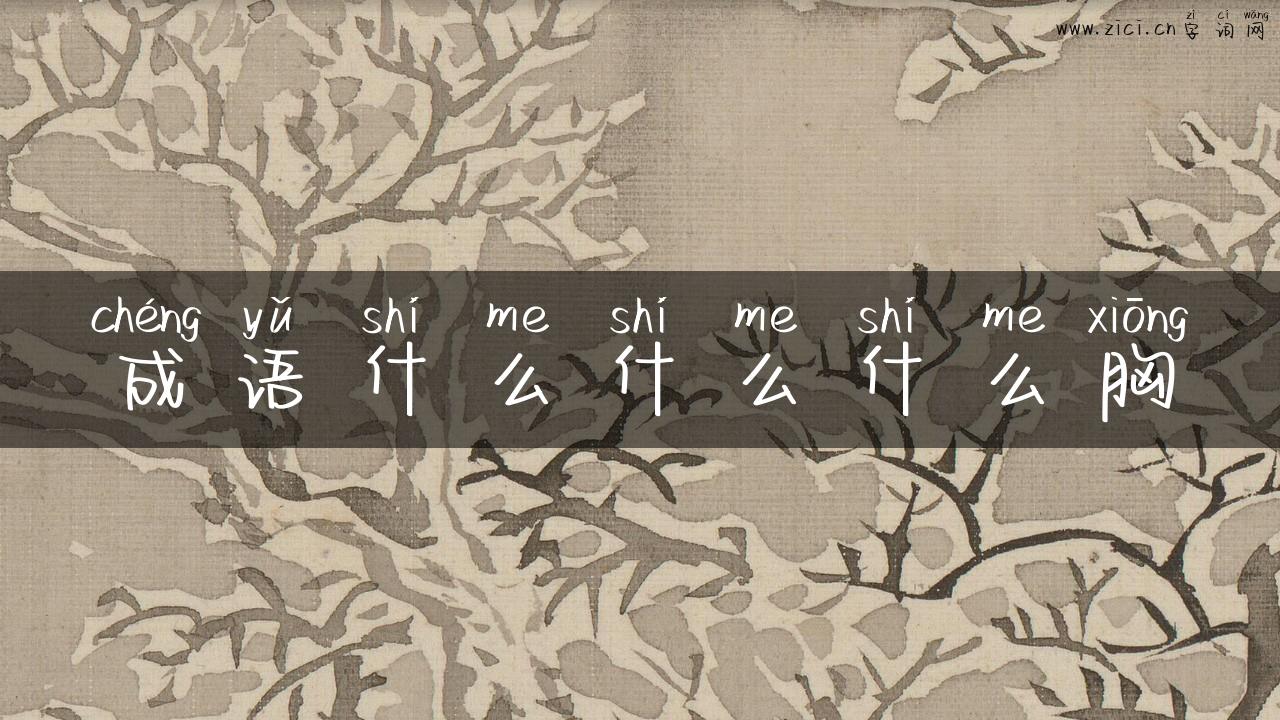成语什么什么什么胸