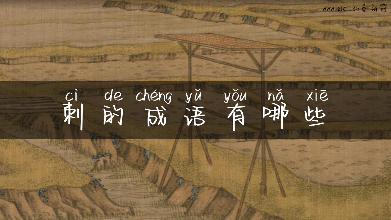 刺的成语有哪些