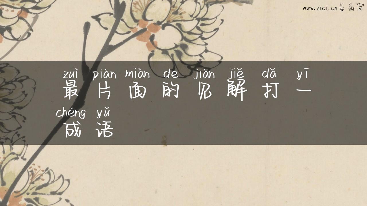 最片面的见解打一成语