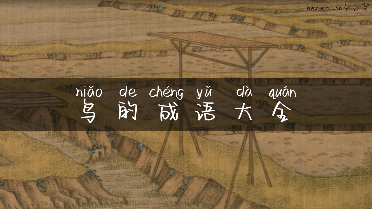 鸟的成语大全