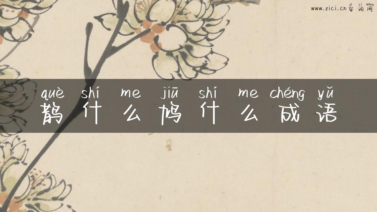 鹊什么鸠什么成语
