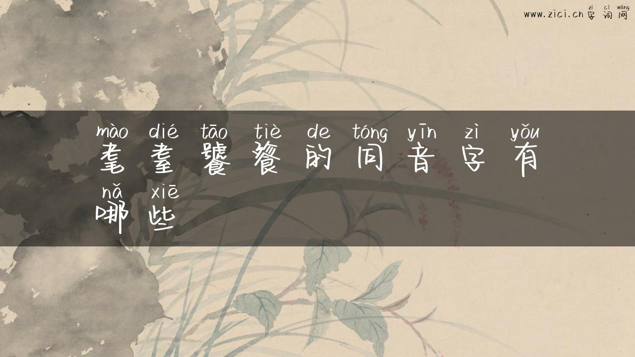 耄耋饕餮的同音字有哪些