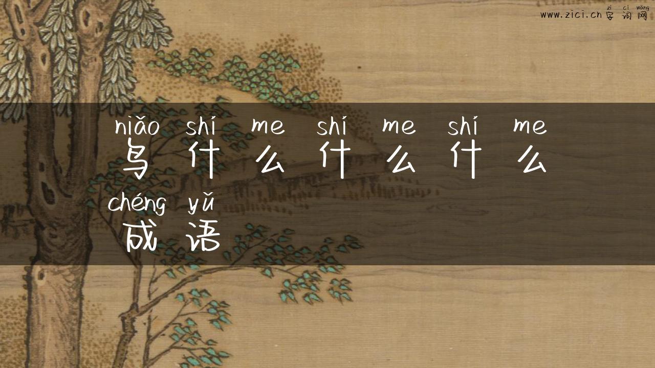 鸟什么什么什么成语