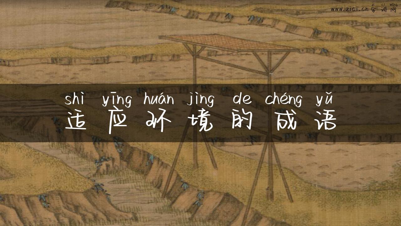 适应环境的成语