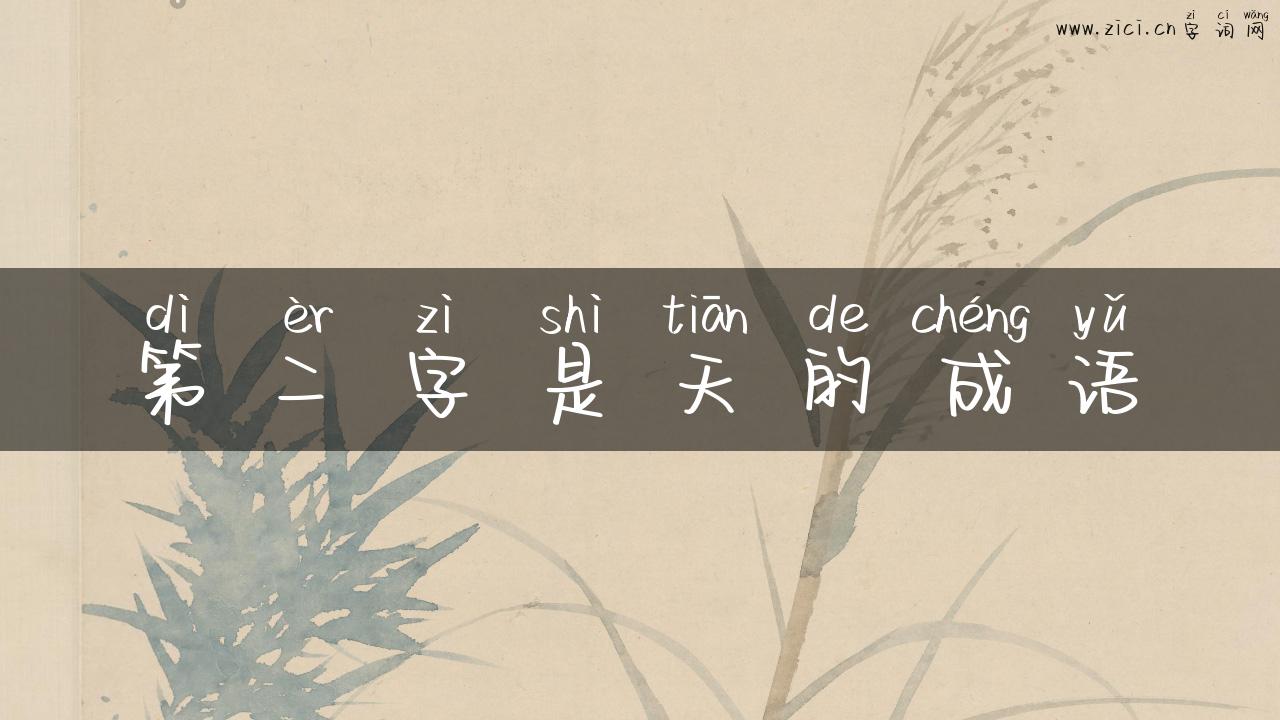 第二字是天的成语
