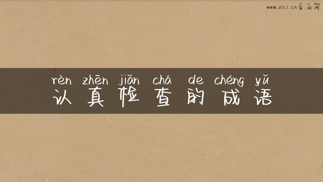 认真检查的成语