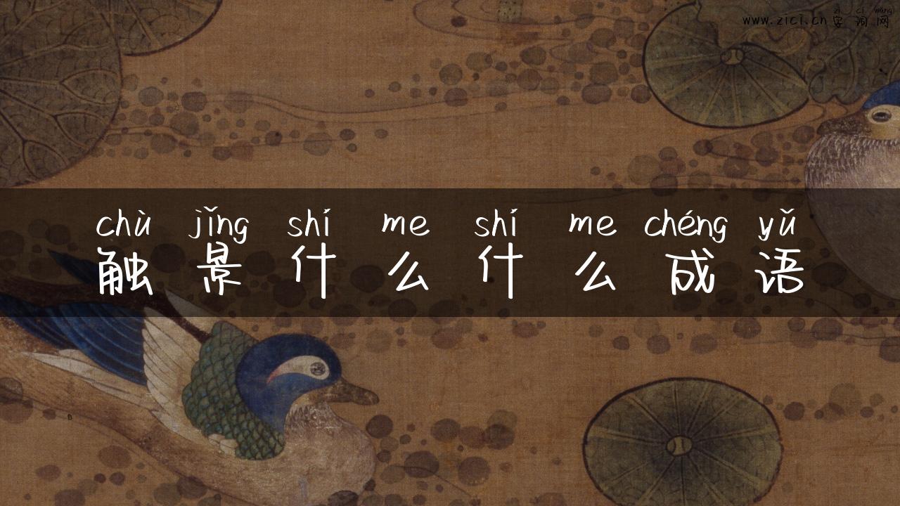 触景什么什么成语