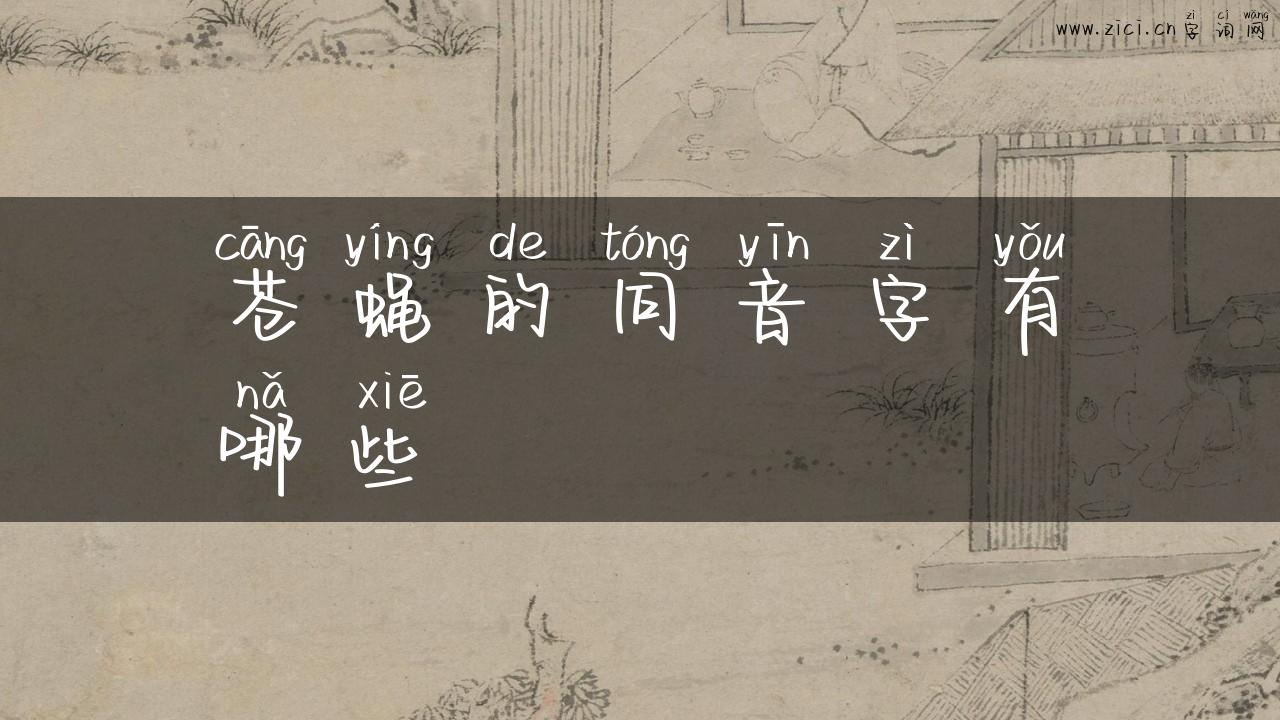 苍蝇的同音字有哪些