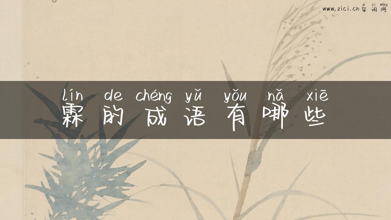 霖的成语有哪些