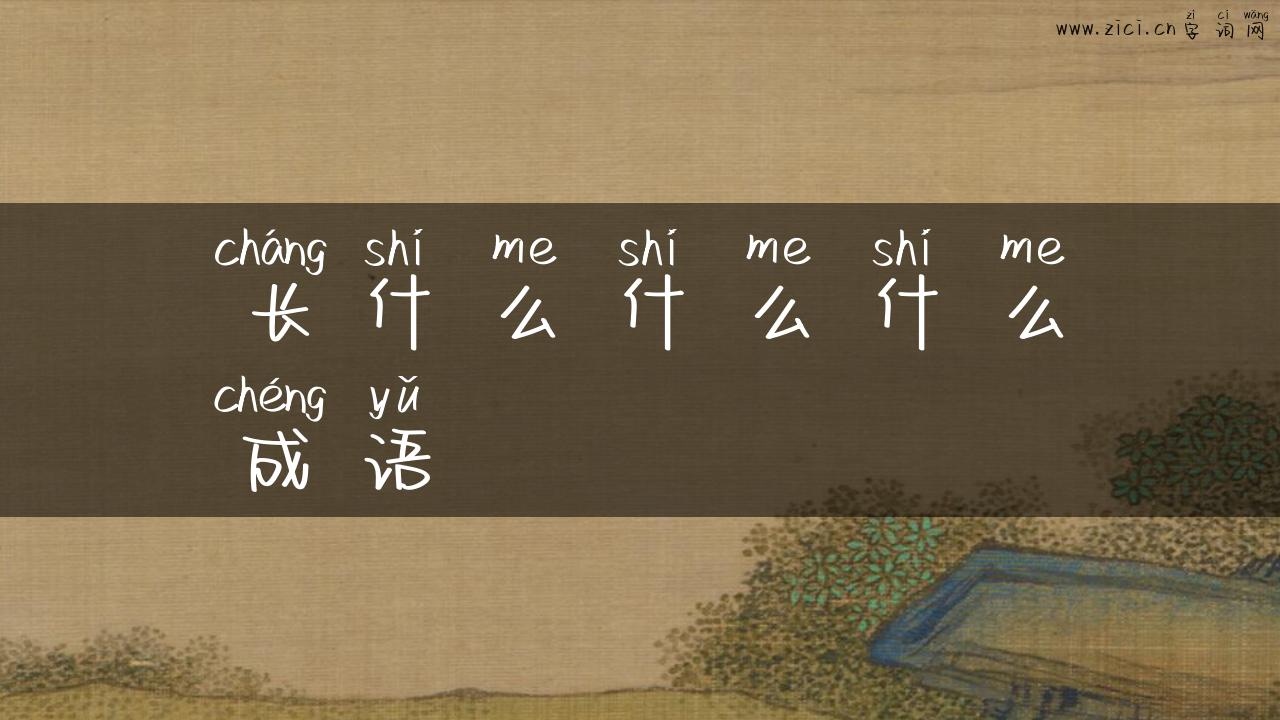 长什么什么什么成语
