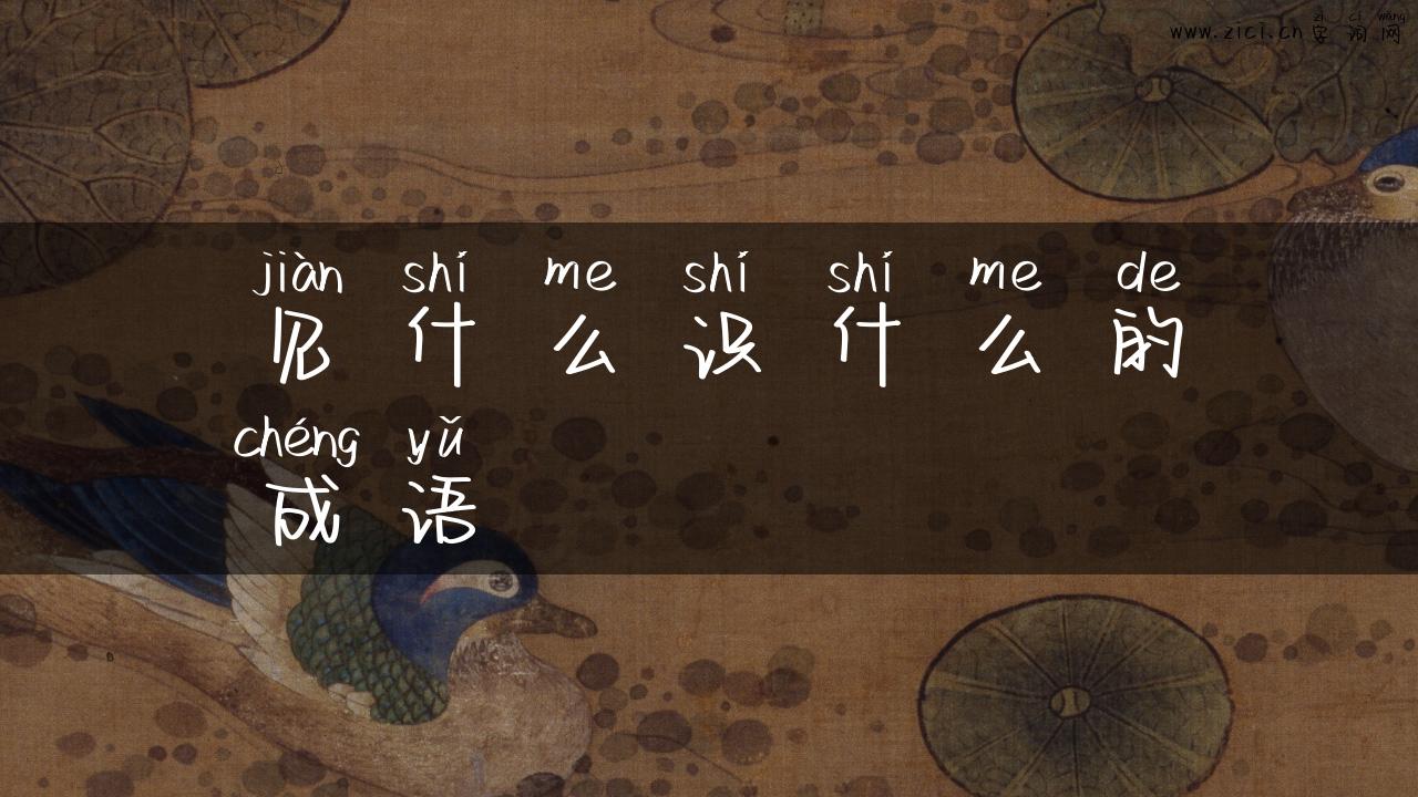 见什么识什么的成语