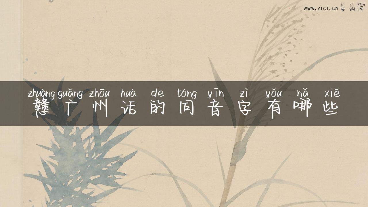 戆广州话的同音字有哪些