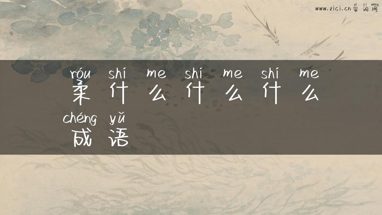柔什么什么什么成语