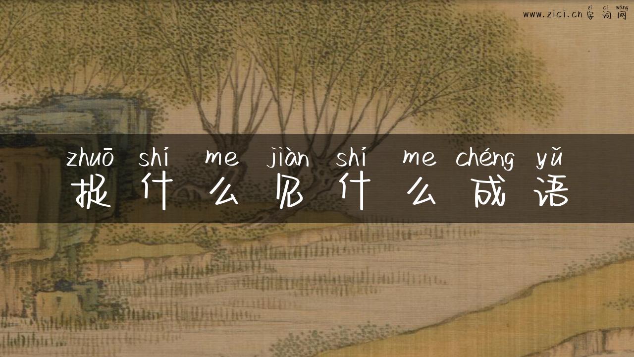 捉什么见什么成语