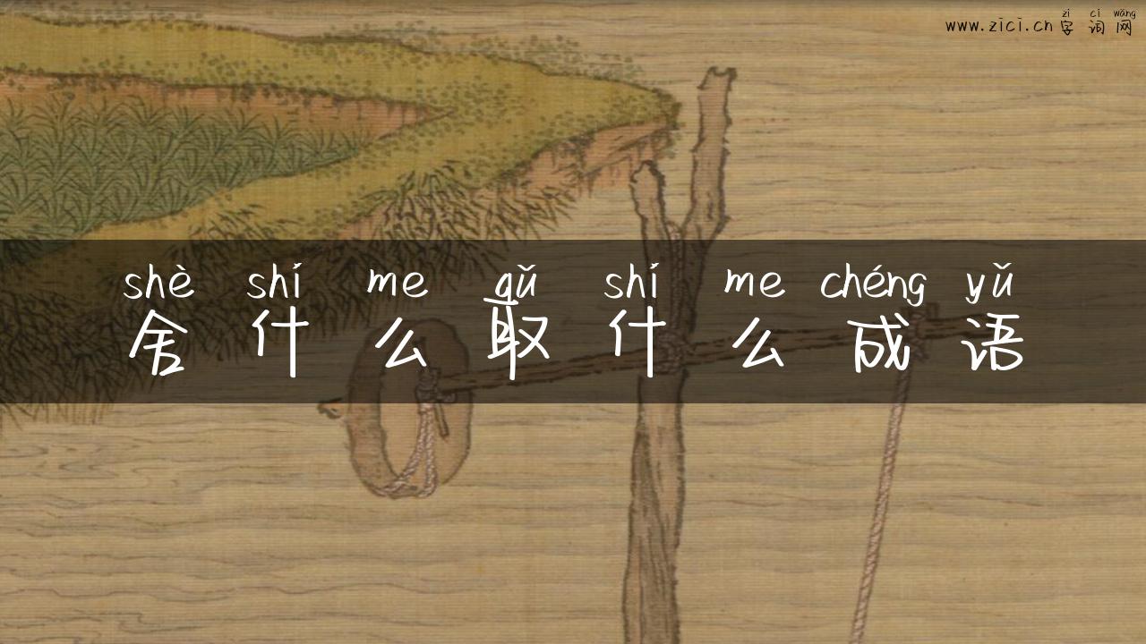 舍什么取什么成语